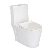 توالت فرنگی چینی کرد مدل آوینا