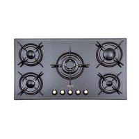 گاز رومیزی استیل البرز مدل G5916